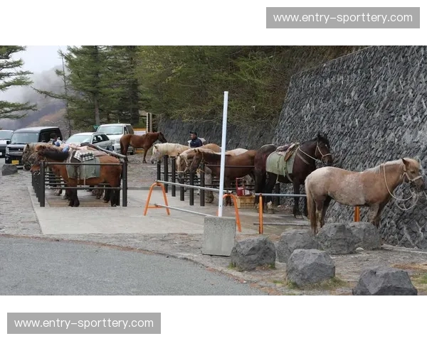 开云体育横屏观看：在横屏中放大每一个精彩瞬间